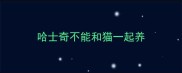 哈士奇不能和猫一起养