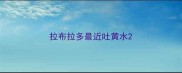 拉布拉多最近吐黄水