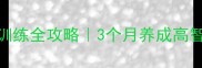 边牧幼犬社会化训练全攻略3个月养成高智商好性格的秘诀
