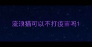 流浪猫可以不打疫苗吗