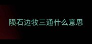 陨石边牧三通什么意思