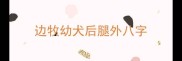 边牧幼犬后腿外八字