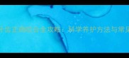 边牧牙齿正确咬合全攻略科学养护方法与常见误区
