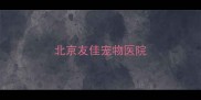 北京友佳宠物医院