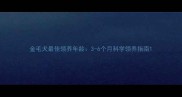 金毛犬最佳领养年龄3-6个月科学领养指南