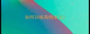 如何训练狗狗坐立