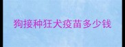 狗接种狂犬疫苗多少钱