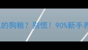 狗狗呕吐未消化的狗粮别慌90新手养狗都踩过的坑