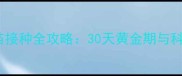 狗狗疫苗接种全攻略30天黄金期与科学程序