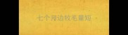 七个月边牧毛量短