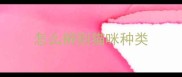 怎么辨别猫咪种类
