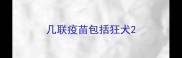 几联疫苗包括狂犬