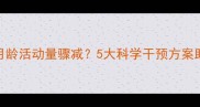 边境牧羊犬幼犬2月龄活动量骤减5大科学干预方案助您激活运动基因