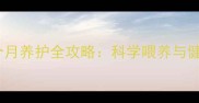 烟台藏獒10个月养护全攻略科学喂养与健康训练指南