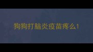 狗狗打脑炎疫苗疼么