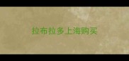 拉布拉多上海购买