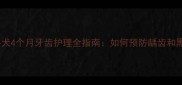 法国斗牛犬4个月牙齿护理全指南如何预防龋齿和黑下巴
