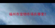 福州市宠物市场在哪里