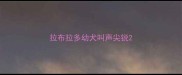 拉布拉多幼犬叫声尖锐