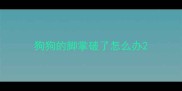 狗狗的脚掌破了怎么办
