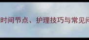 边牧第一次换毛全时间节点护理技巧与常见问题附养护攻略