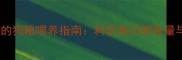 一个月大狗狗的狗粮喂养指南科学每日喂食量与营养搭配全