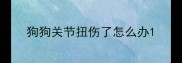 狗狗关节扭伤了怎么办