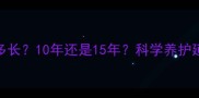边境牧羊犬寿命有多长10年还是15年科学养护延长寿命的5大秘诀