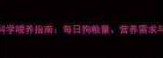 4个月博美幼犬科学喂养指南每日狗粮量营养需求与换牙期护理全