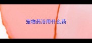 宠物药浴用什么药
