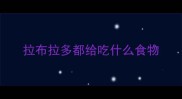拉布拉多都给吃什么食物