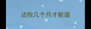 边牧几个月才能遛