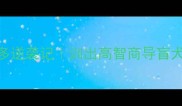 电影里二货拉布拉多逆袭记训出高智商导盲犬的365天养成秘籍