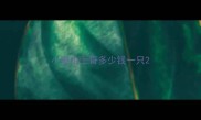 小眼哈士奇多少钱一只