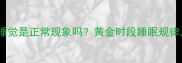 拉布拉多犬白天睡觉是正常现象吗黄金时段睡眠规律及科学养护指南