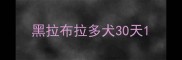 黑拉布拉多犬30天
