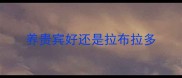 养贵宾好还是拉布拉多