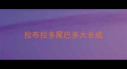 拉布拉多尾巴多大长成