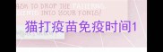猫打疫苗免疫时间
