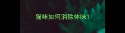猫咪如何消除体味