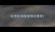 虹桥机场接宠物在哪里