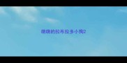 萌萌的拉布拉多小狗