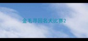 金毛寻回名犬比赛