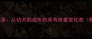 哈士奇成长全记录从幼犬到成年的身高体重变化表附科学喂养指南