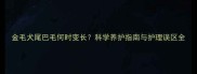 金毛犬尾巴毛何时变长科学养护指南与护理误区全