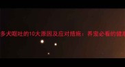 拉布拉多犬呕吐的10大原因及应对措施养宠必看的健康指南
